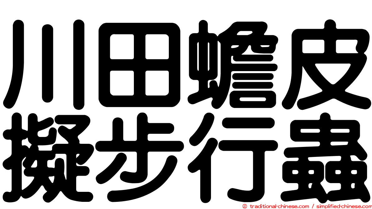 川田蟾皮擬步行蟲