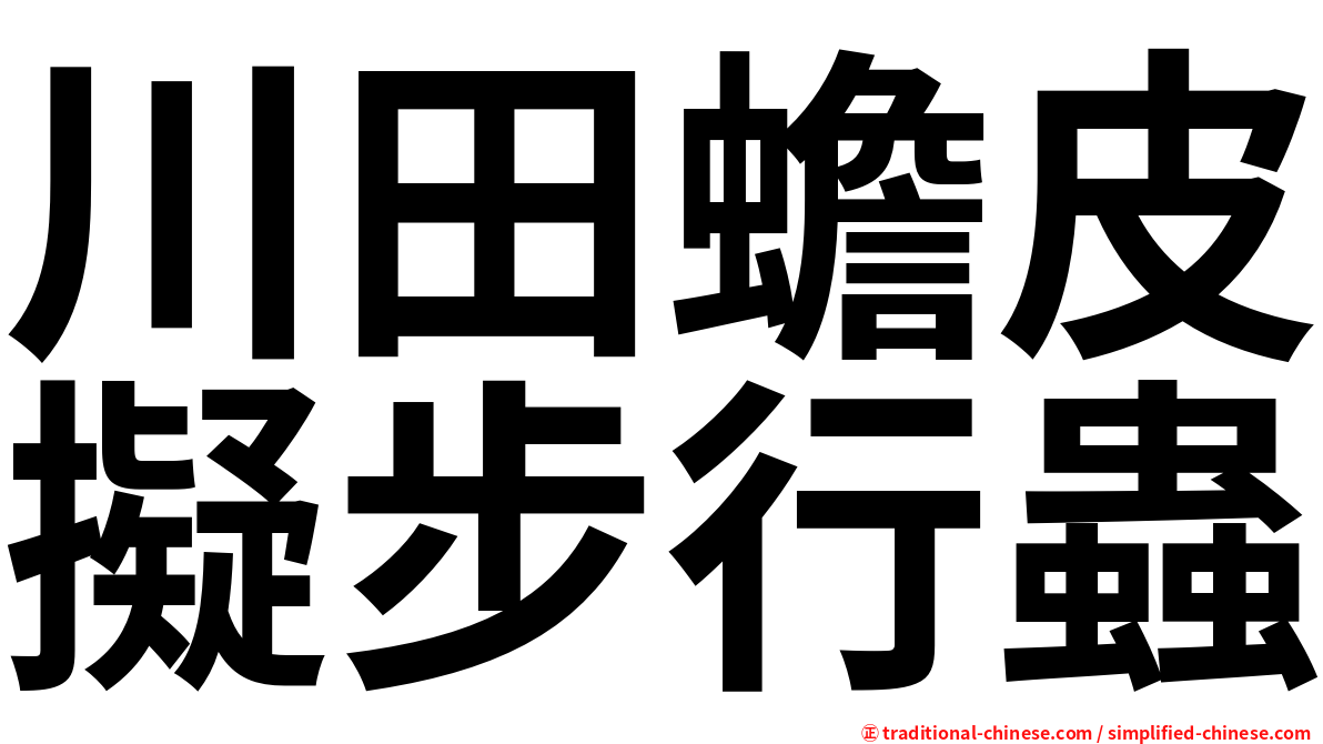 川田蟾皮擬步行蟲