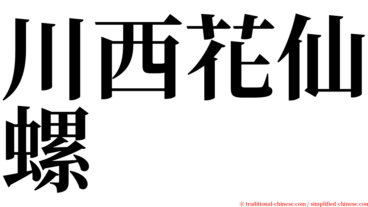 川西花仙螺 serif font