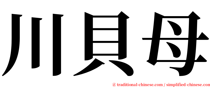 川貝母 serif font