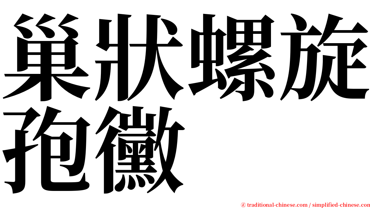 巢狀螺旋孢黴 serif font