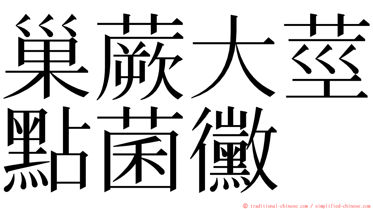 巢蕨大莖點菌黴 ming font