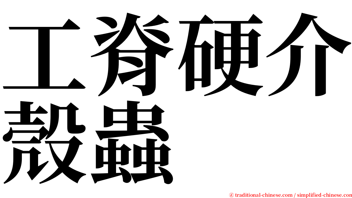 工脊硬介殼蟲 serif font