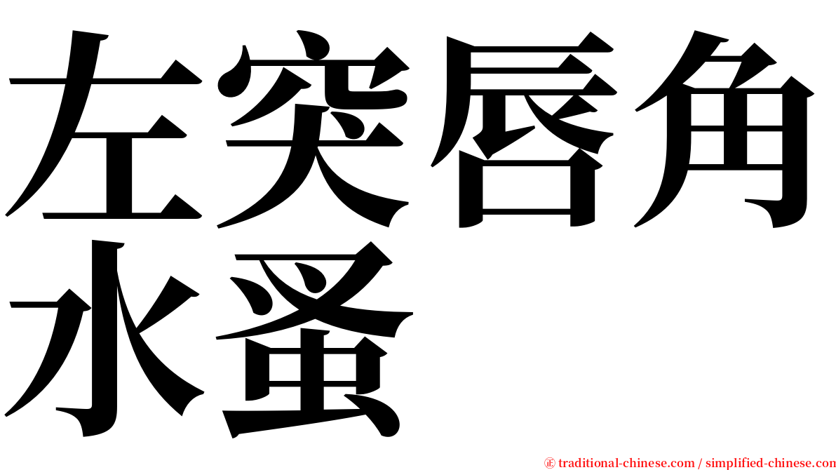 左突唇角水蚤 serif font