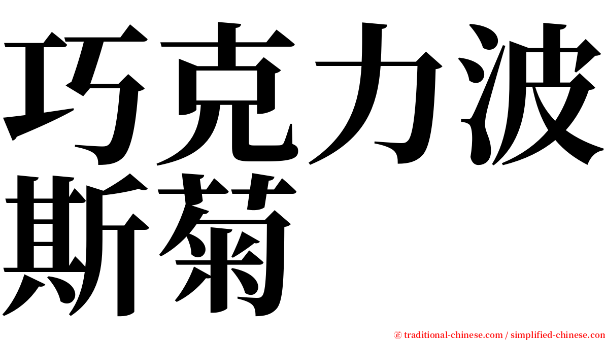 巧克力波斯菊 serif font