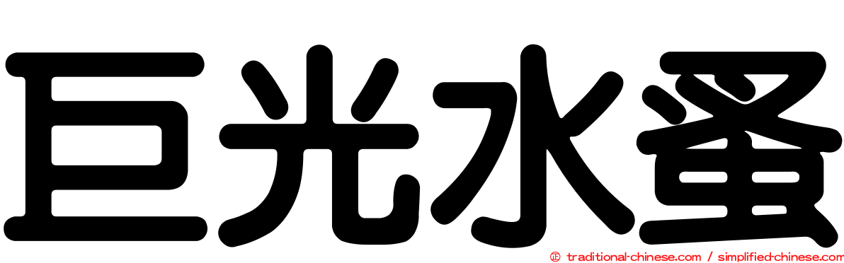 巨光水蚤