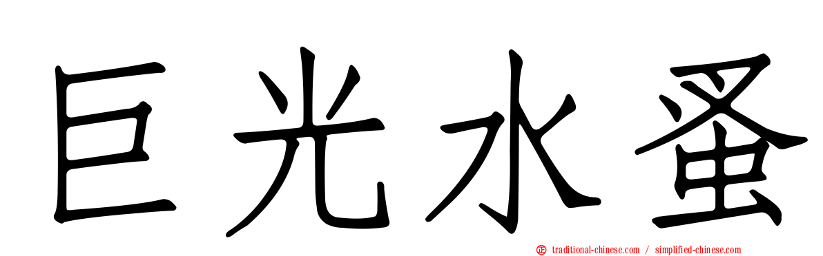 巨光水蚤