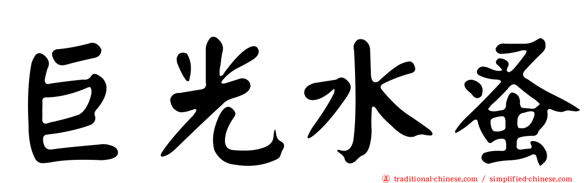 巨光水蚤