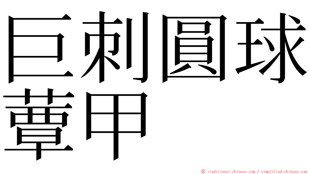 巨刺圓球蕈甲 ming font