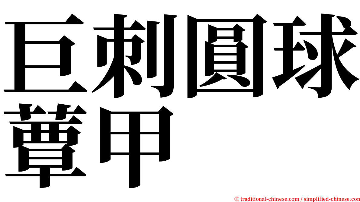 巨刺圓球蕈甲 serif font