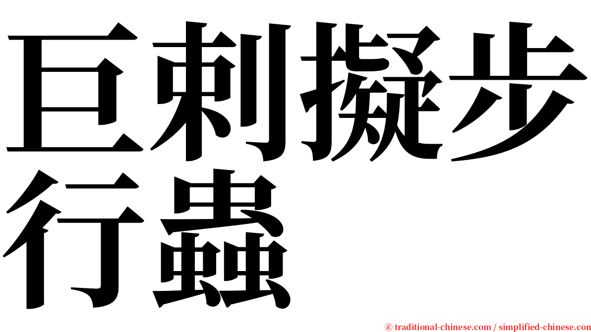 巨剌擬步行蟲 serif font