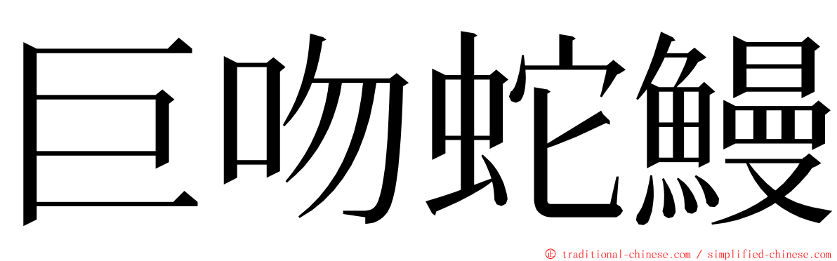 巨吻蛇鰻 ming font