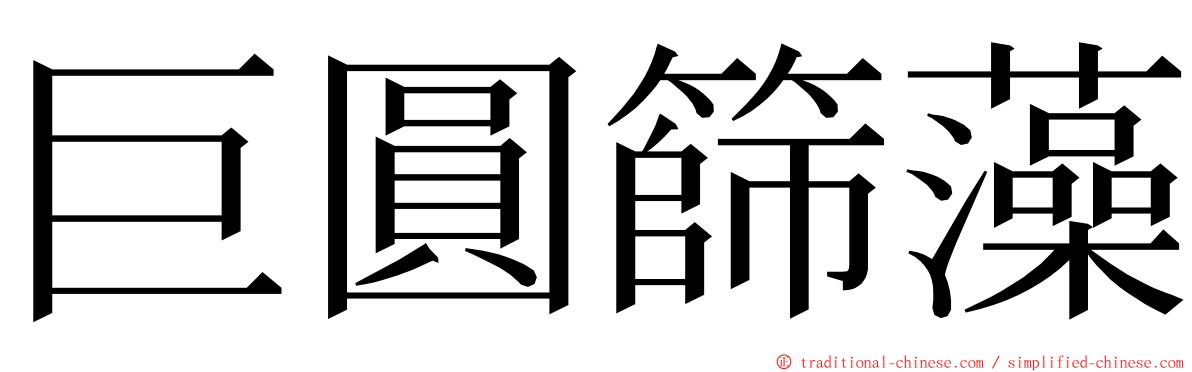 巨圓篩藻 ming font