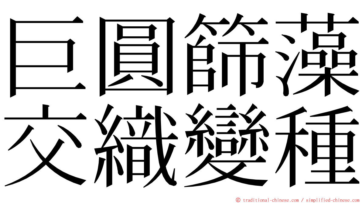 巨圓篩藻交織變種 ming font