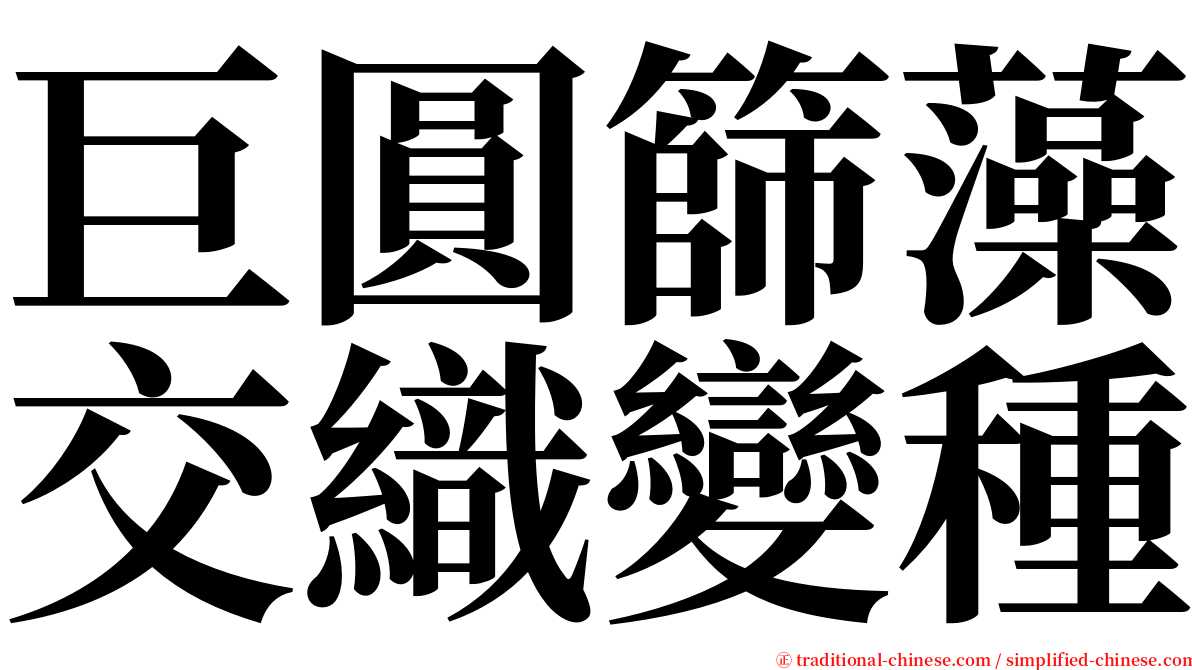 巨圓篩藻交織變種 serif font