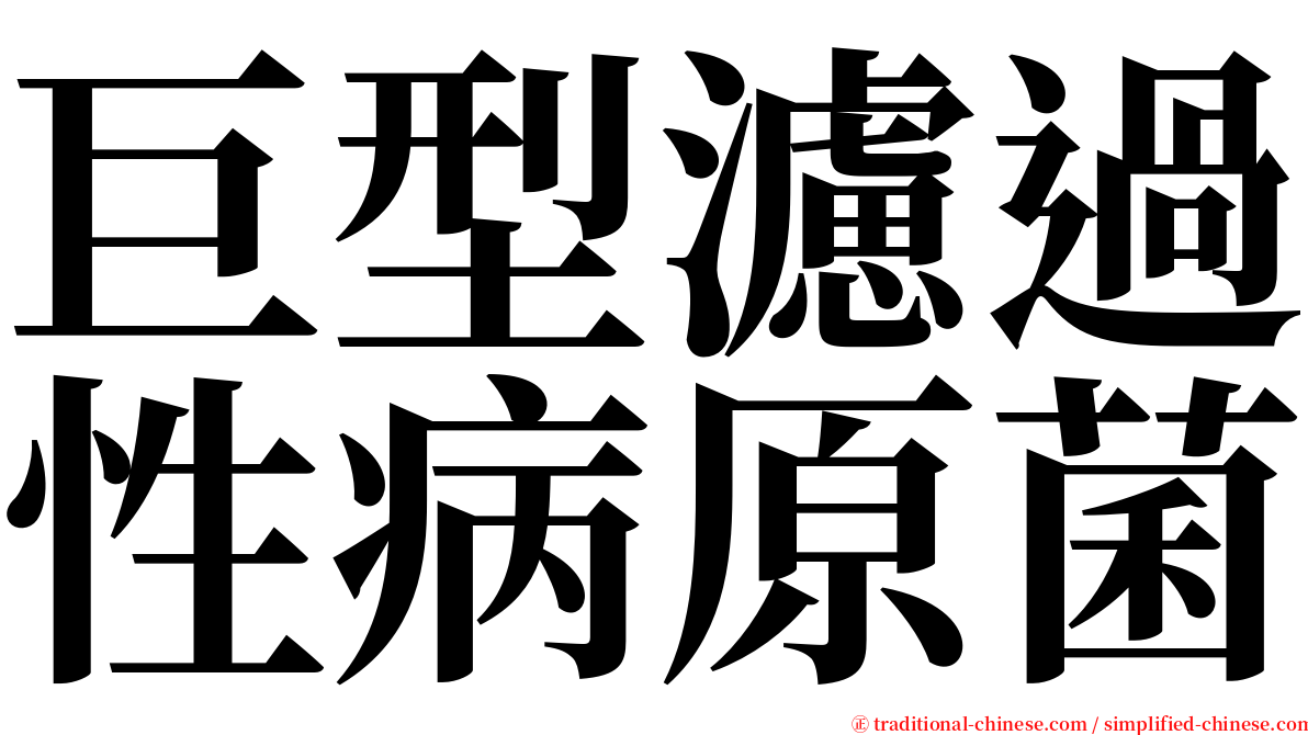 巨型濾過性病原菌 serif font