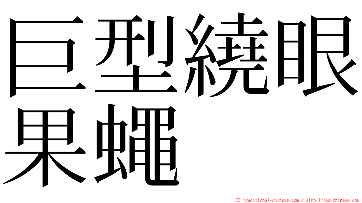 巨型繞眼果蠅 ming font