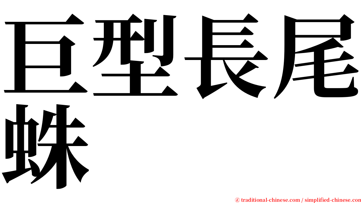 巨型長尾蛛 serif font