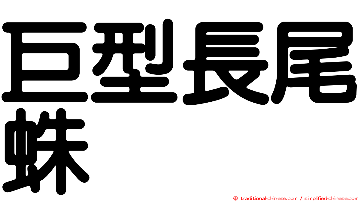 巨型長尾蛛