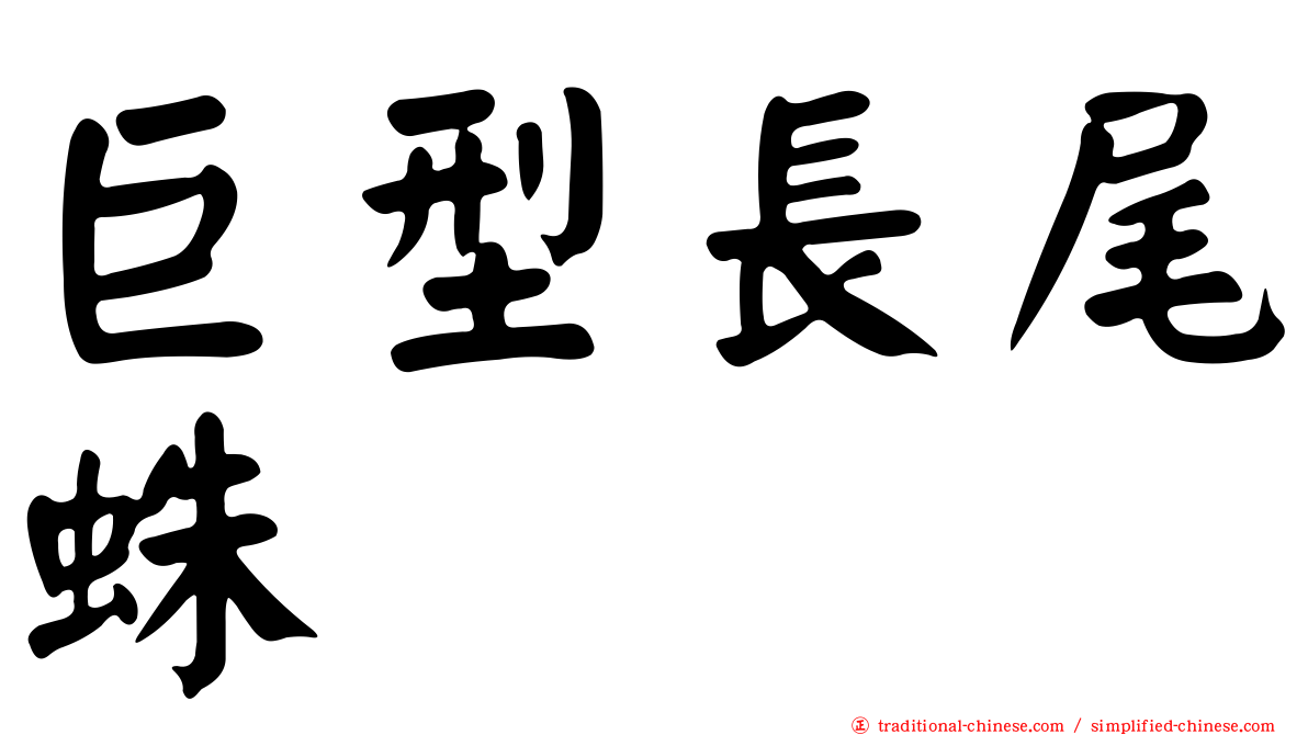 巨型長尾蛛