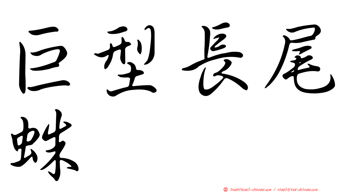 巨型長尾蛛