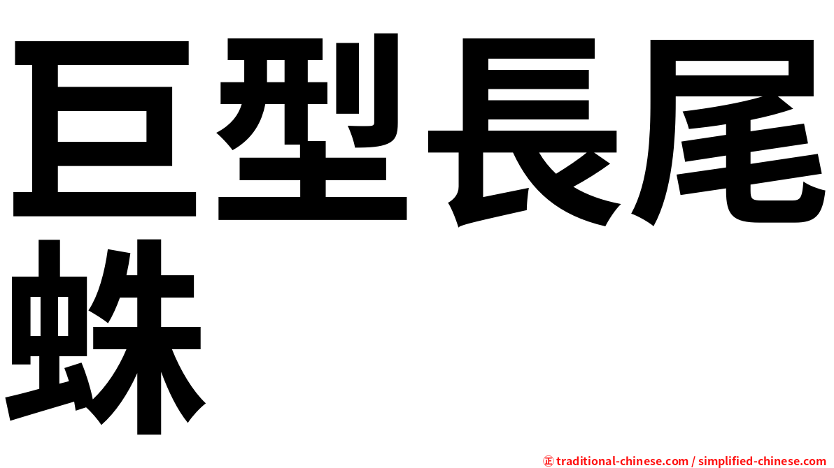 巨型長尾蛛