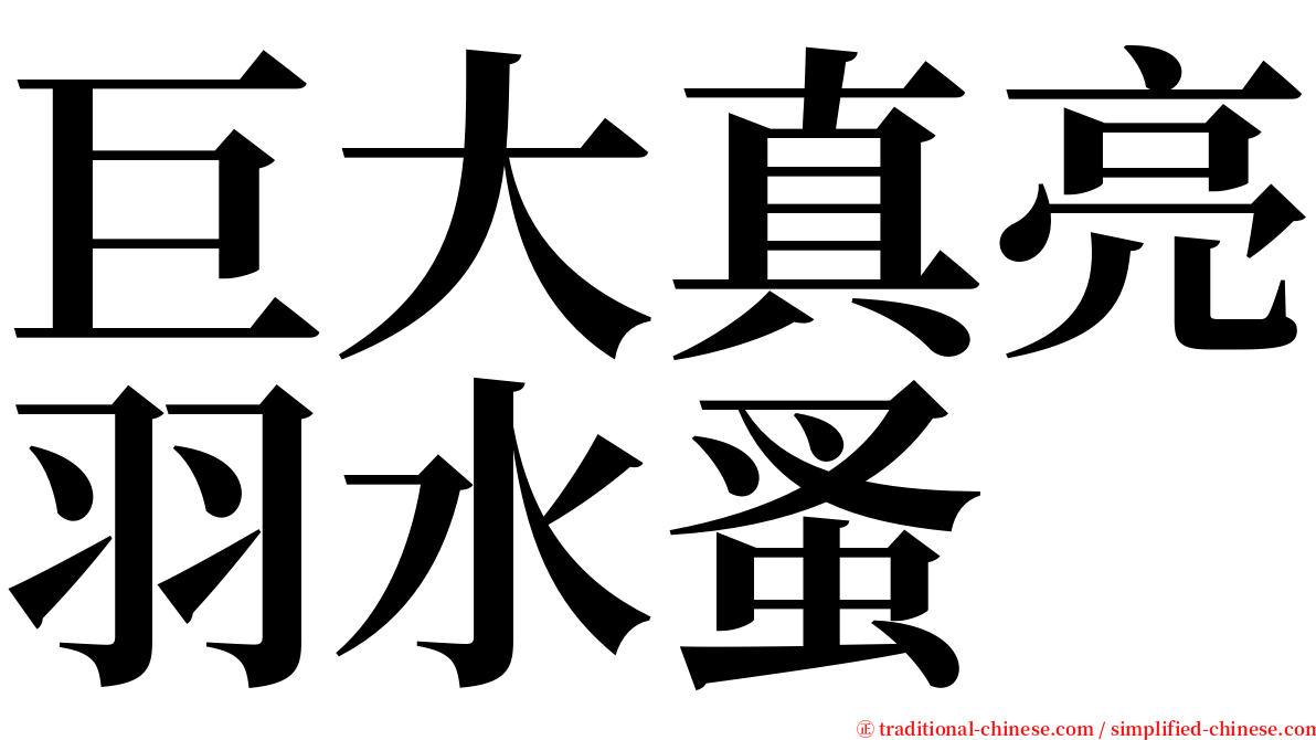 巨大真亮羽水蚤 serif font