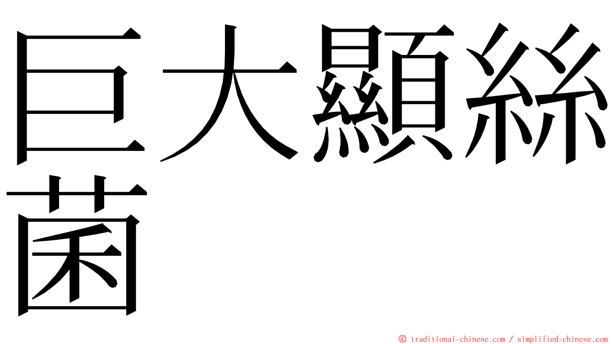 巨大顯絲菌 ming font
