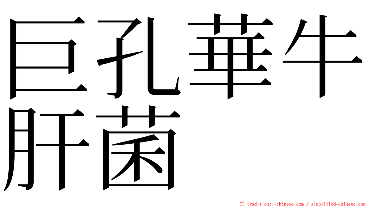 巨孔華牛肝菌 ming font