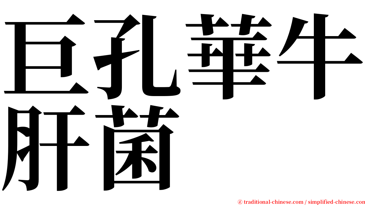 巨孔華牛肝菌 serif font