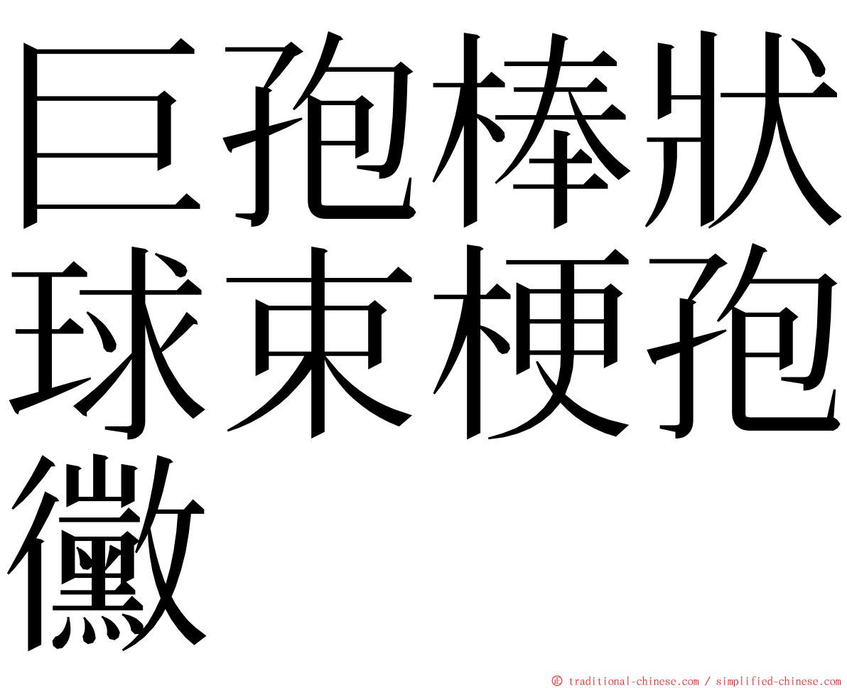 巨孢棒狀球束梗孢黴 ming font