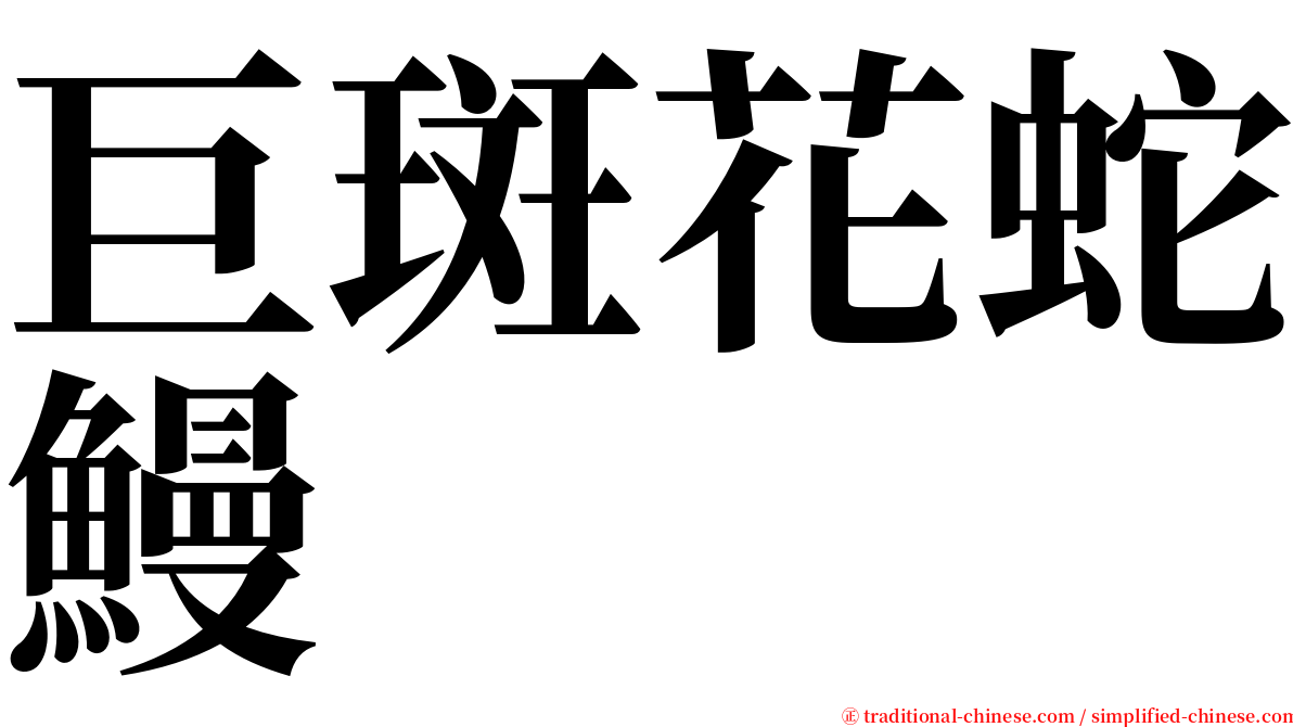 巨斑花蛇鰻 serif font
