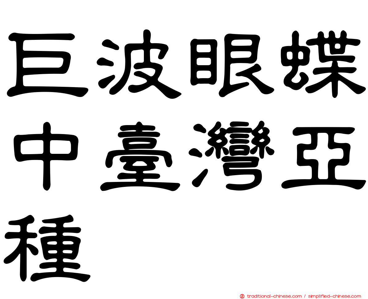 巨波眼蝶中臺灣亞種