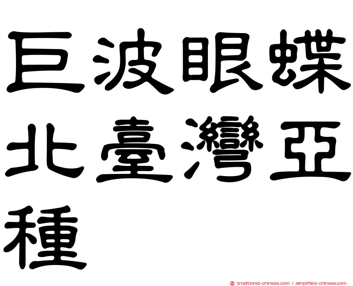 巨波眼蝶北臺灣亞種