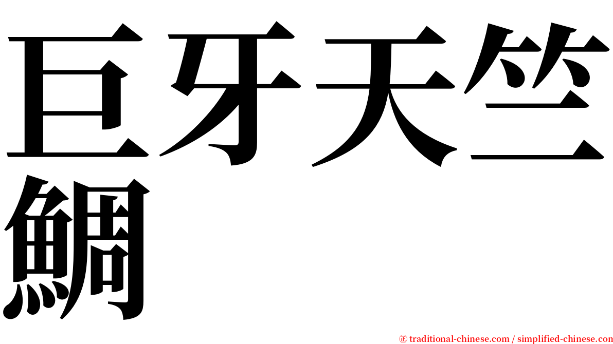 巨牙天竺鯛 serif font