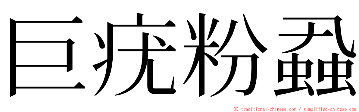 巨疣粉蝨 ming font