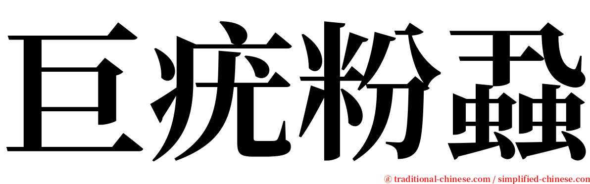 巨疣粉蝨 serif font