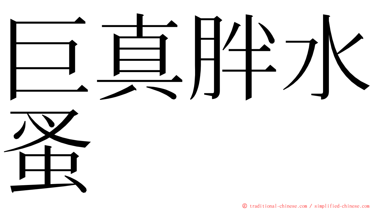 巨真胖水蚤 ming font