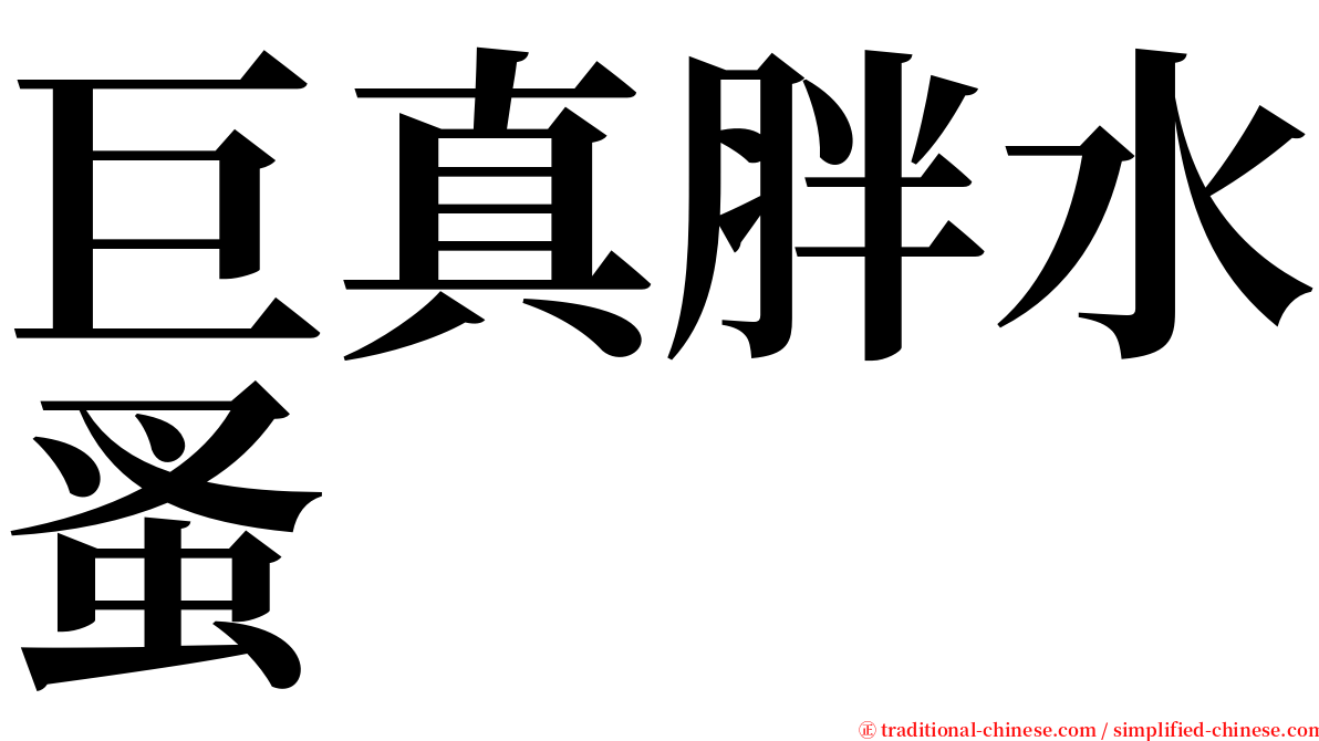 巨真胖水蚤 serif font