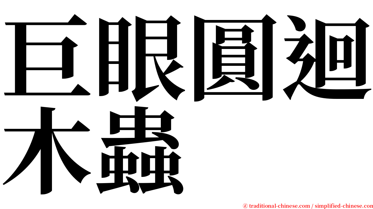 巨眼圓迴木蟲 serif font