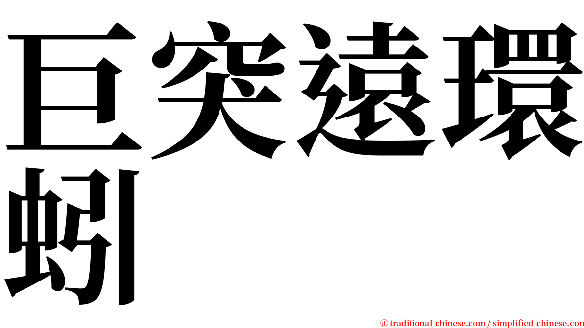 巨突遠環蚓 serif font