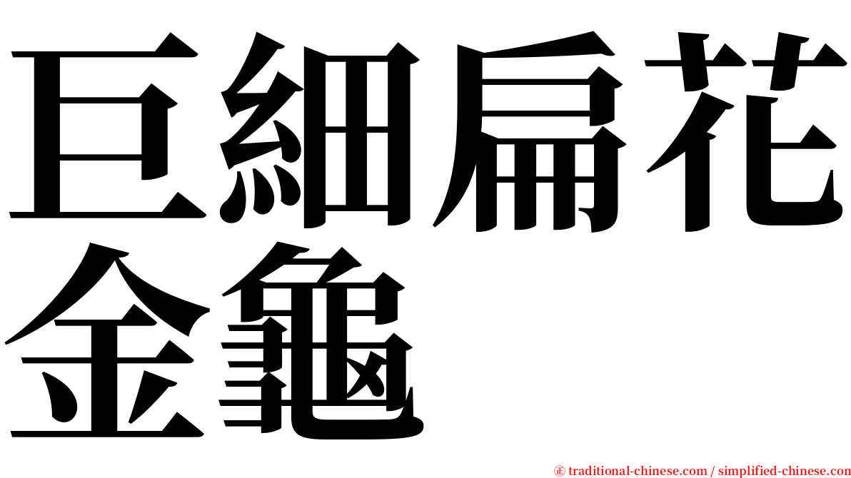 巨細扁花金龜 serif font