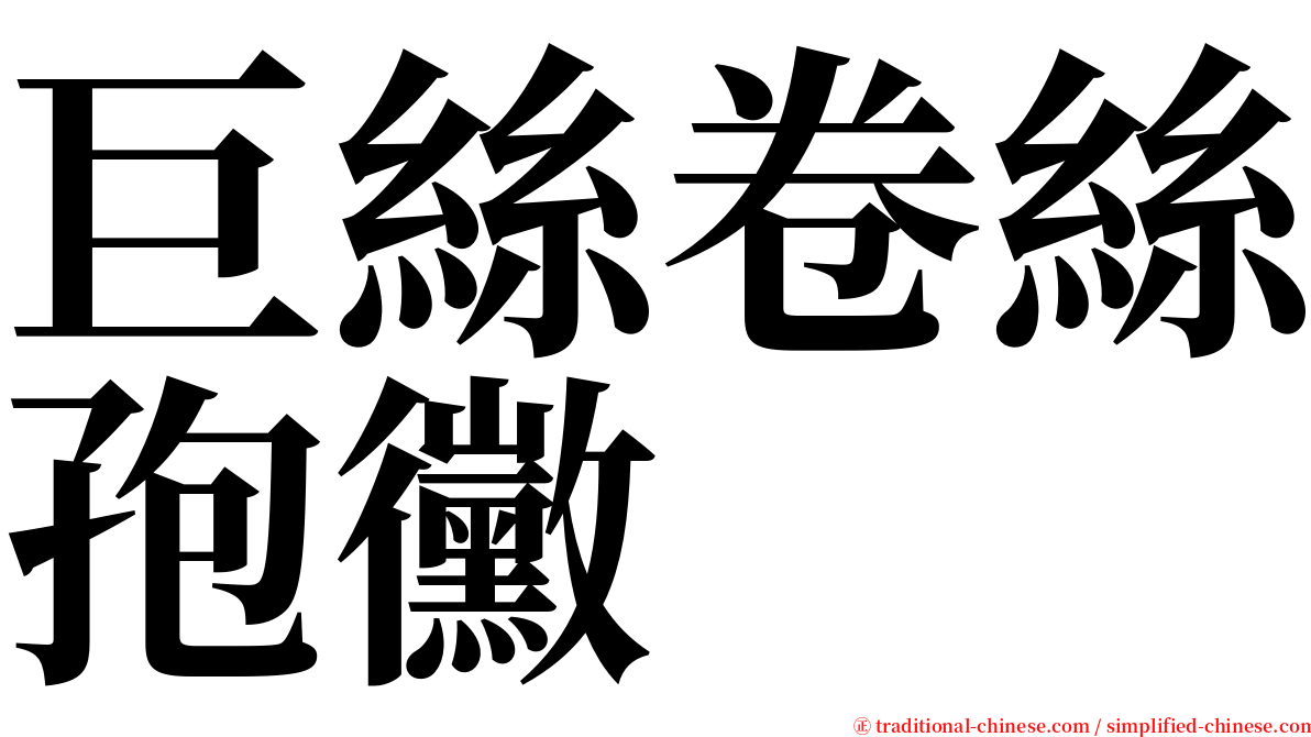 巨絲卷絲孢黴 serif font