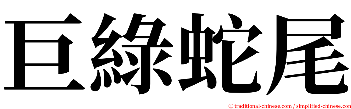 巨綠蛇尾 serif font