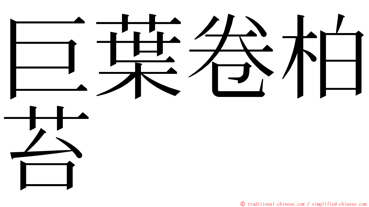 巨葉卷柏苔 ming font