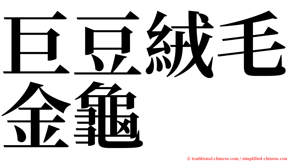 巨豆絨毛金龜 serif font