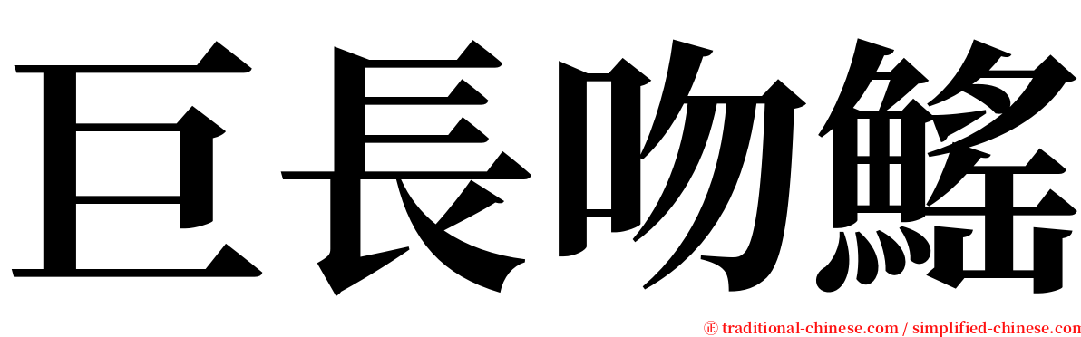 巨長吻鰩 serif font