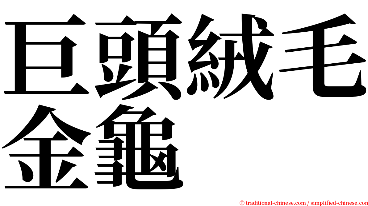 巨頭絨毛金龜 serif font