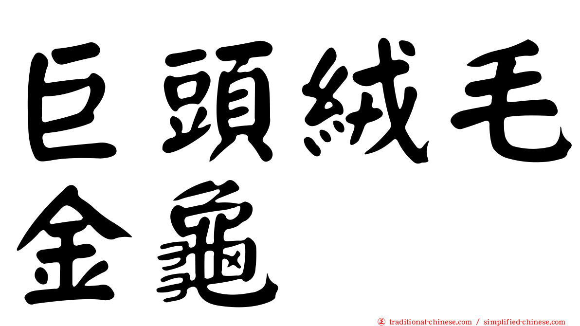 巨頭絨毛金龜