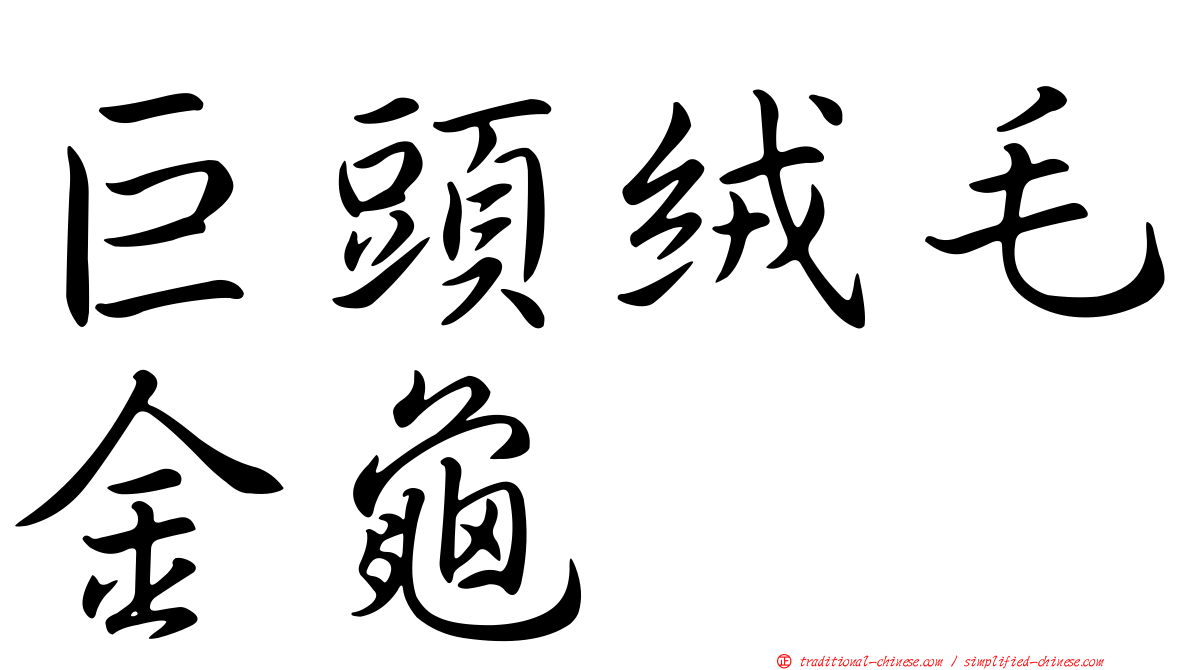 巨頭絨毛金龜